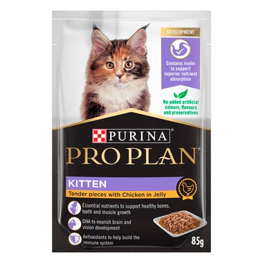 Purina canned kitten food best sale